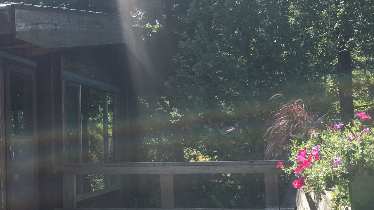 Photo of Outdoor in Severn