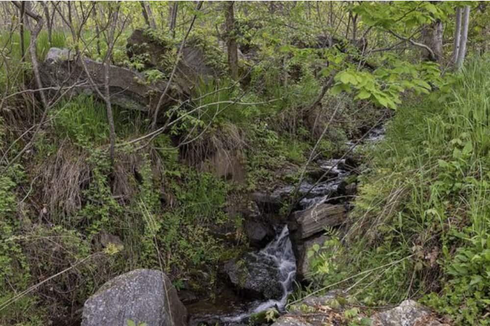 Photo of Outdoor in Central Frontenac