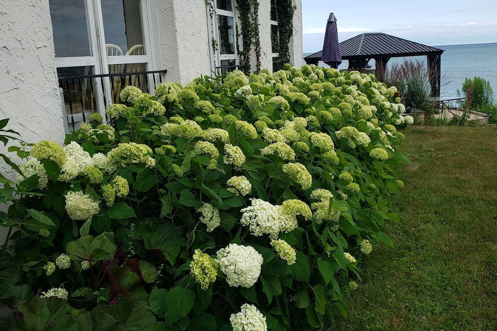 Photo of Outdoor in Cobourg