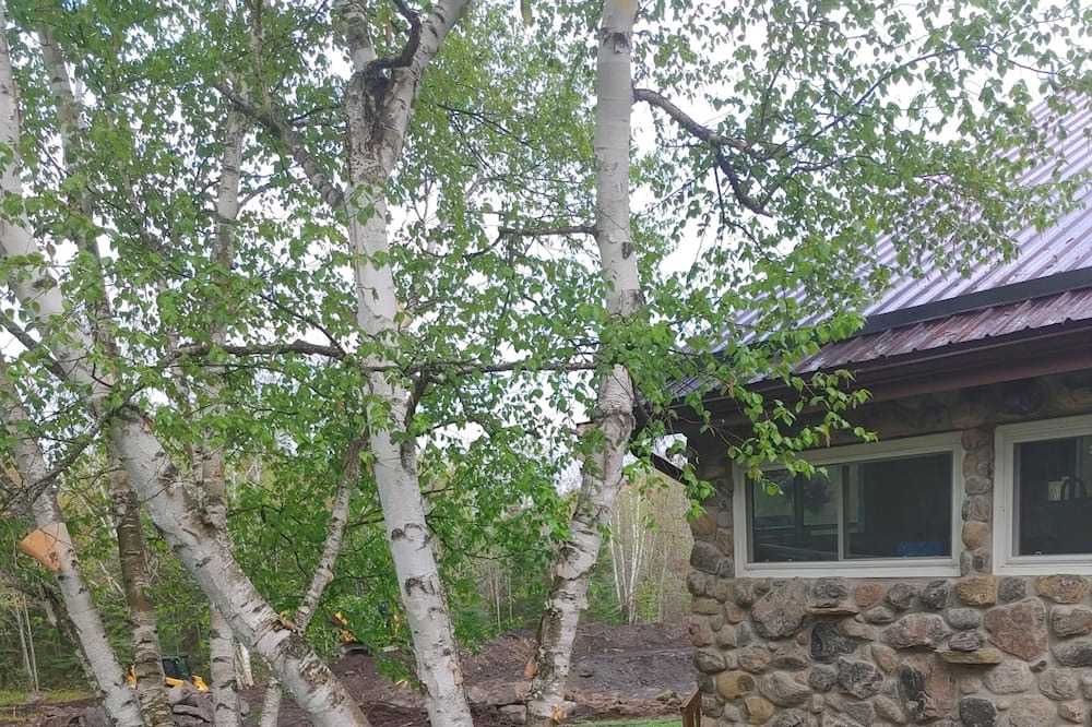 Photo of Outdoor in Hastings Highlands