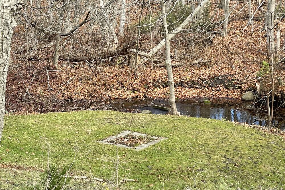 Photo of Outdoor in Courtice