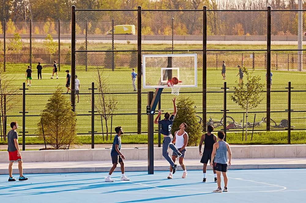 Photo of Others in Churchill Meadows