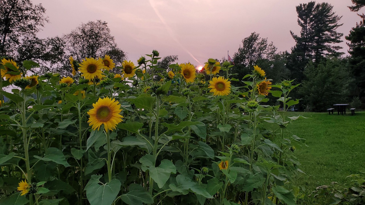 Photo of Outdoor in Washagami