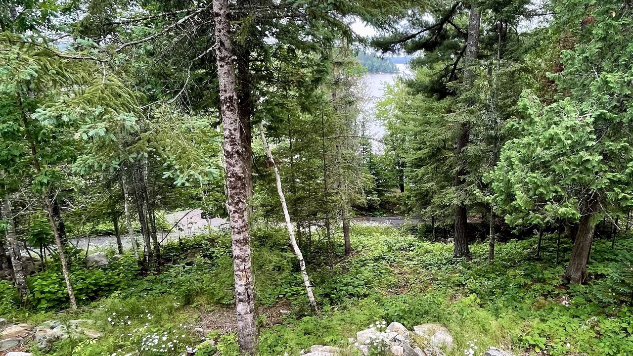 Photo of Outdoor in Ely