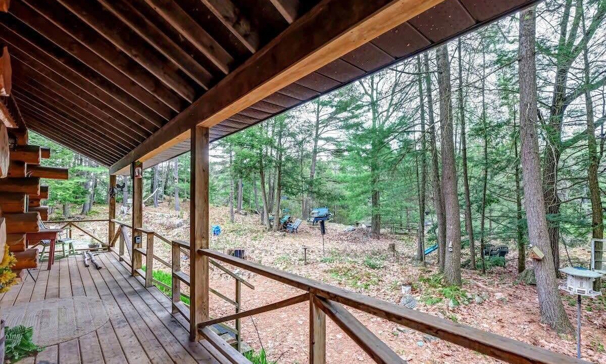 Photo of Outdoor in Lyndhurst