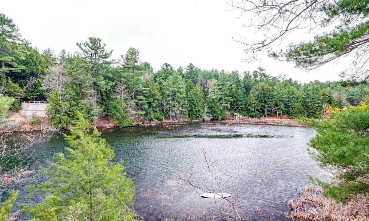 Photo of Outdoor in Lyndhurst