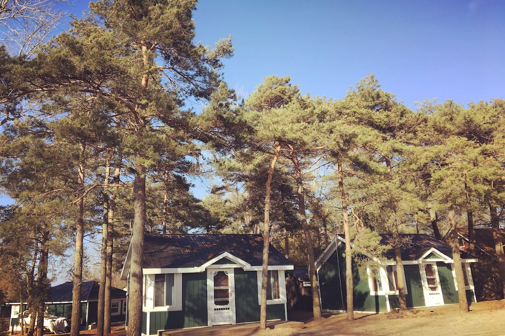 Photo of Outdoor in Long Point