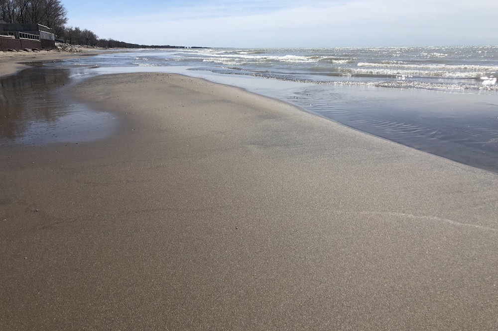 Photo of Others in Long Point