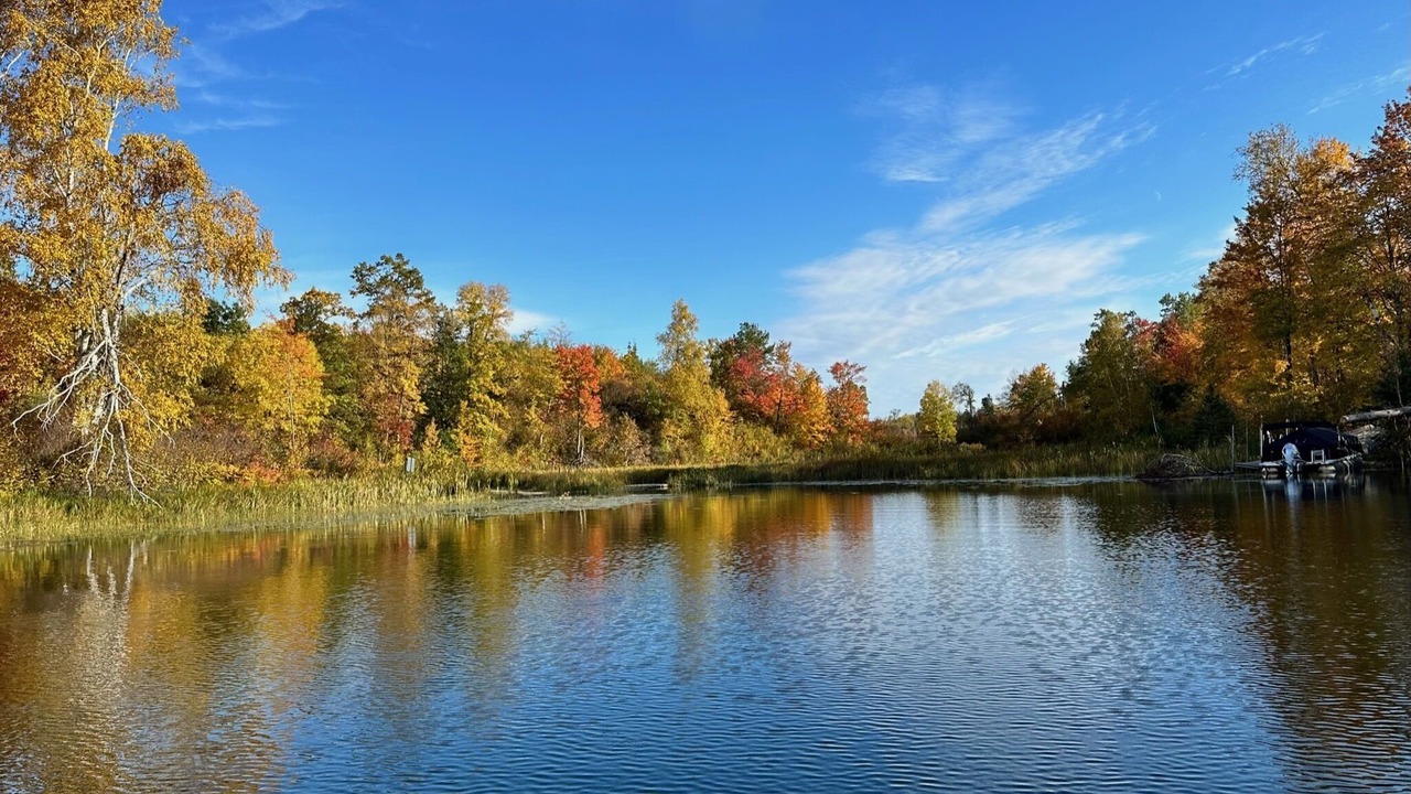 Photo of Others in Park Rapids