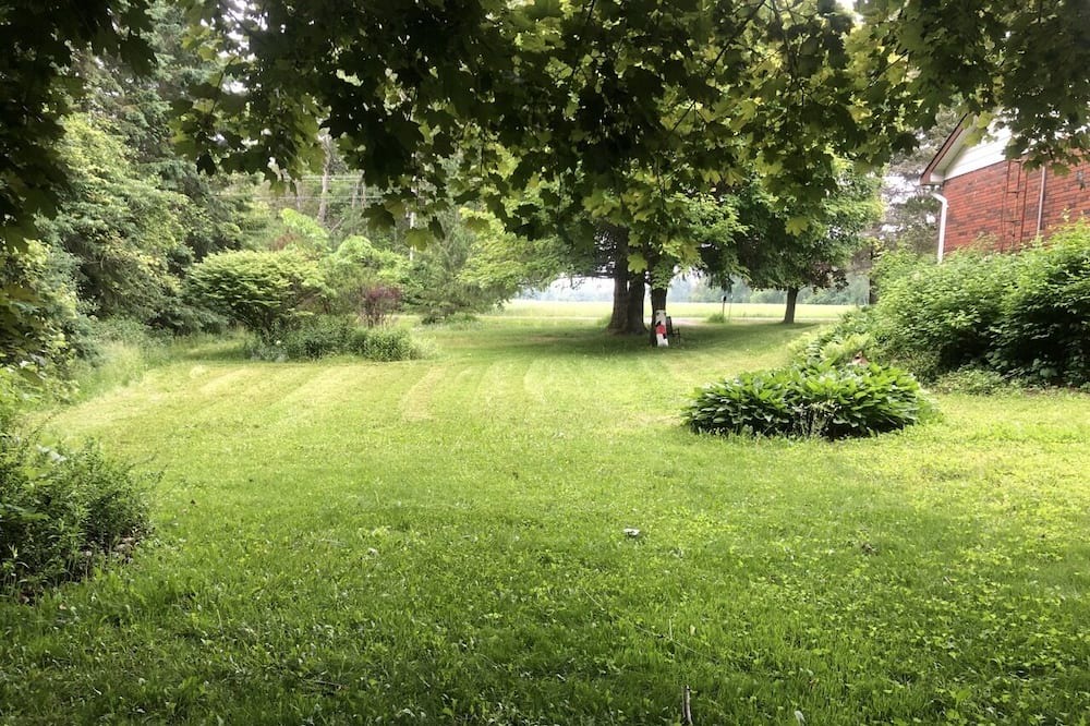 Photo of Outdoor in Grafton
