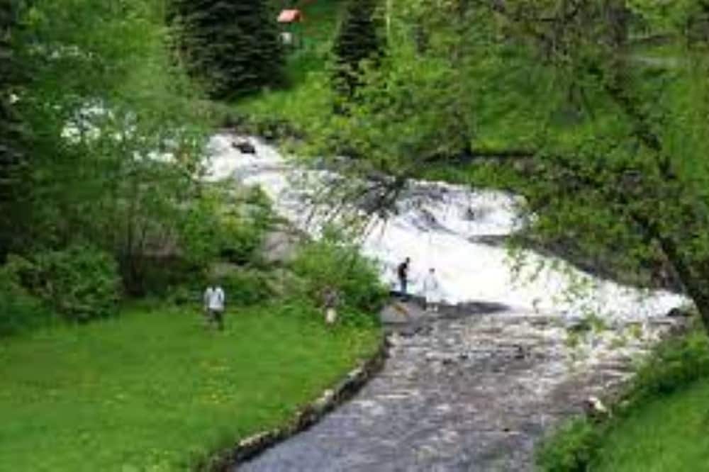 Photo of Outdoor in Forbes
