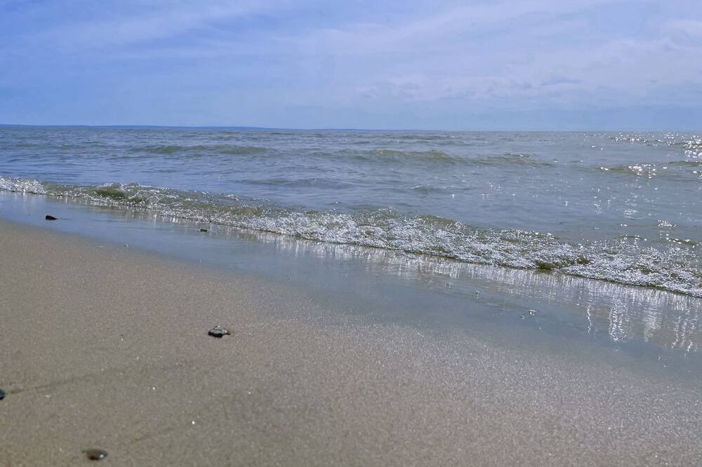 Photo of Others in Wainfleet