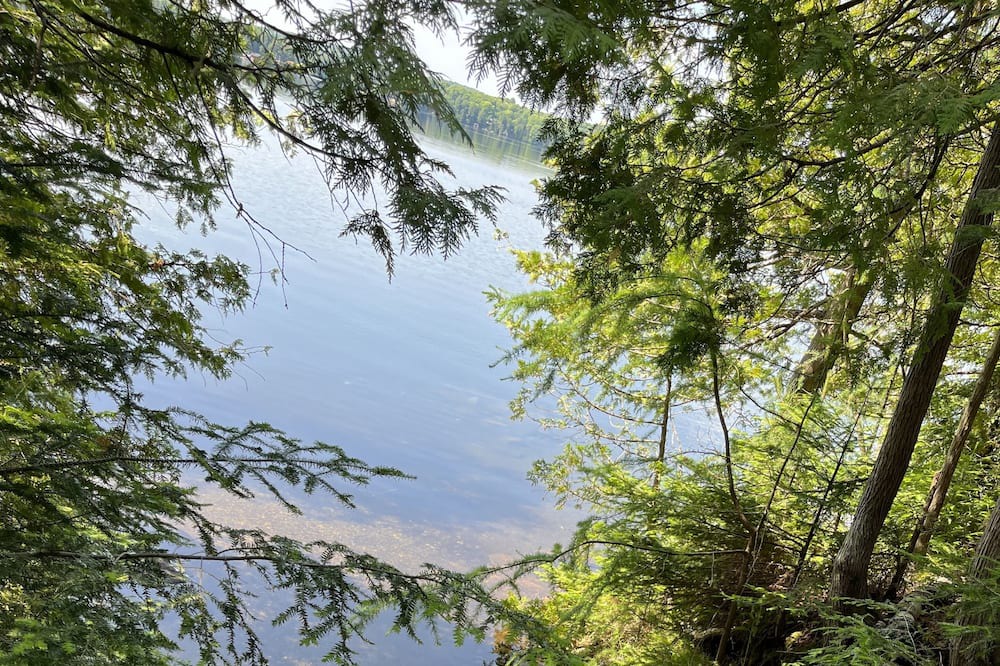 Photo of Outdoor in Highlands East