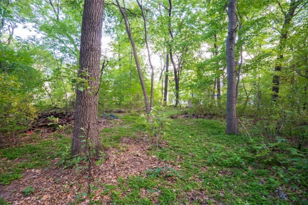 Photo of Outdoor in Blaine