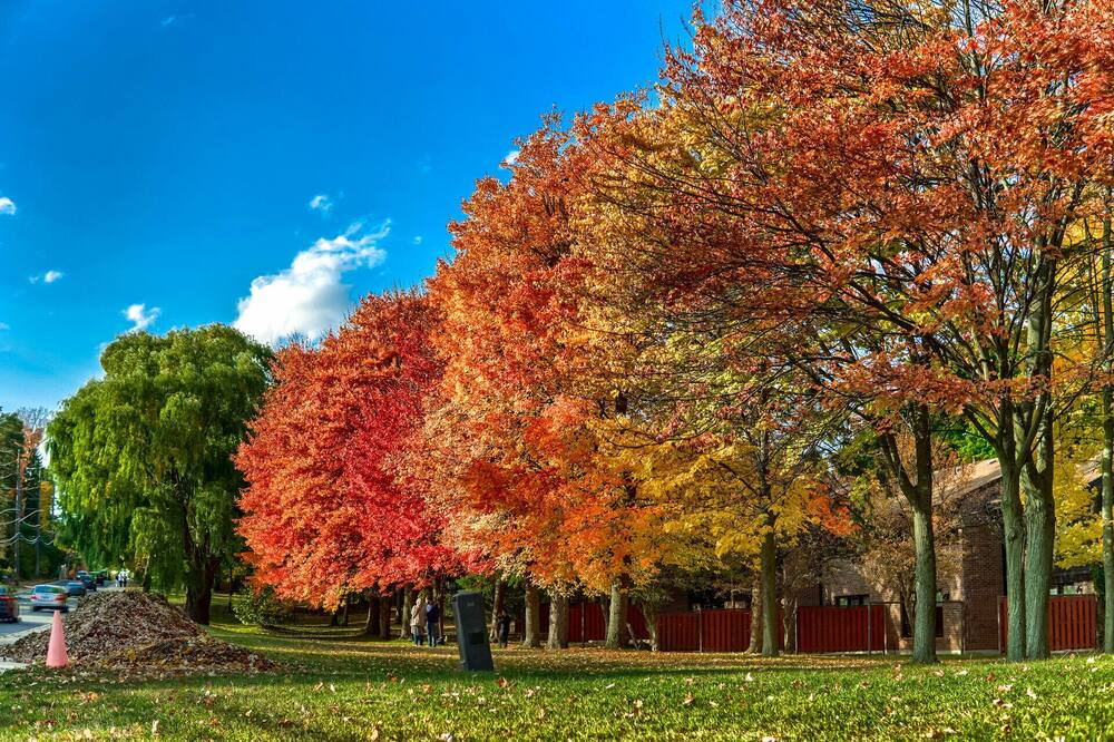 Photo of Outdoor in Sheridan