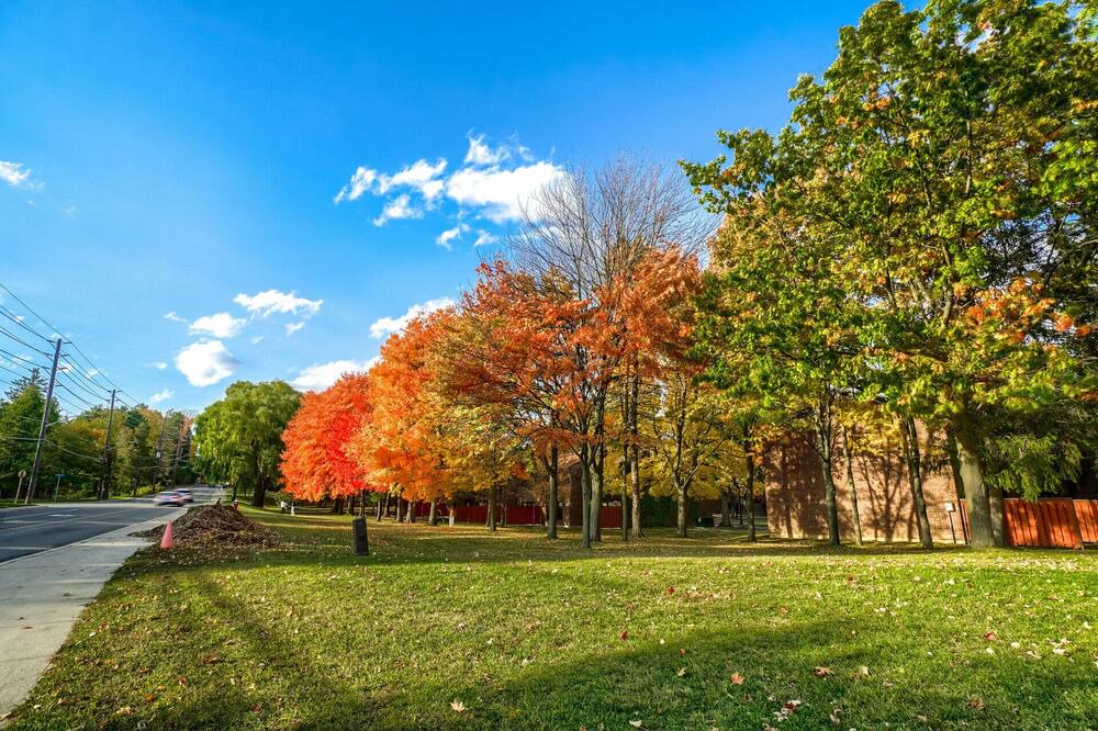 Photo of Outdoor in Sheridan