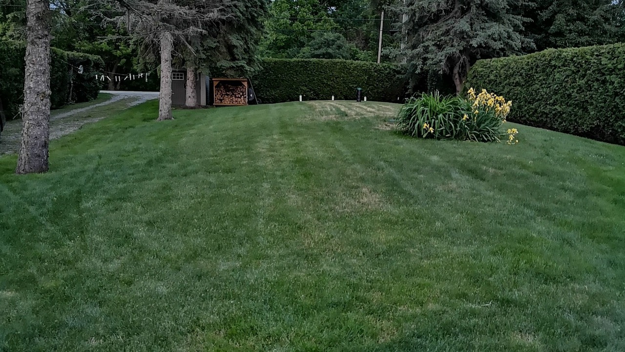 Photo of Outdoor in Brock
