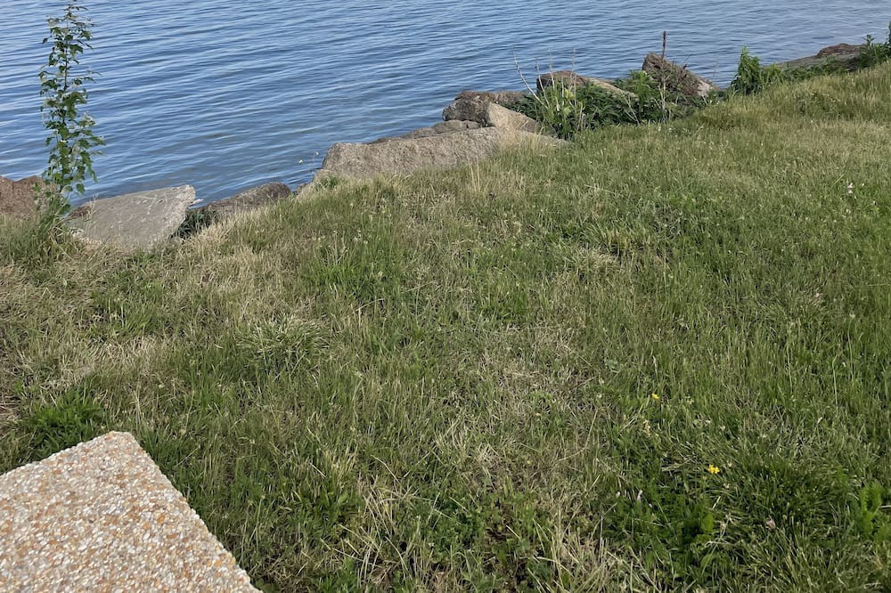 Photo of Outdoor in Harwich