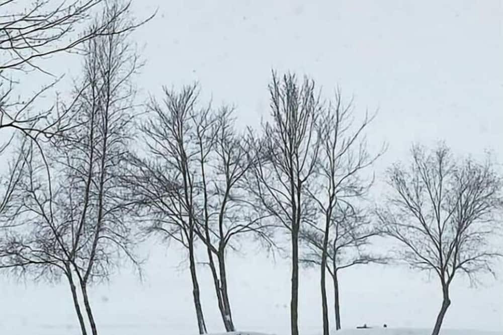 Photo of Others in Elizabethtown-Kitley