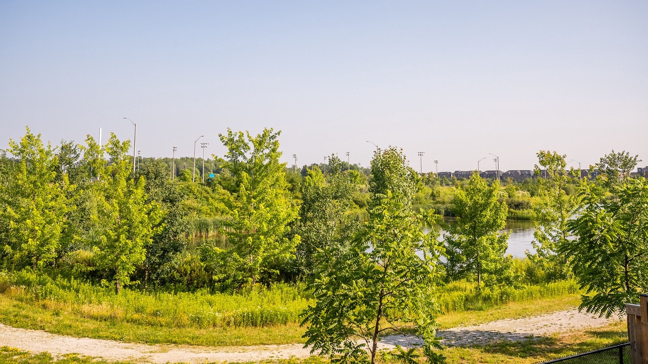 Photo of Outdoor in Brampton