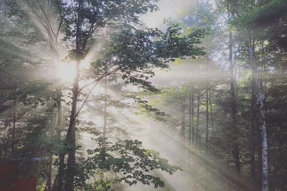 Photo of Outdoor in Huntsville