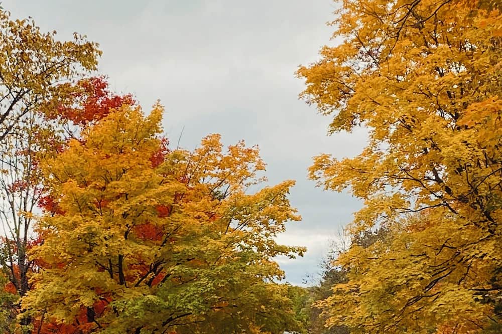 Photo of Outdoor in Baddow
