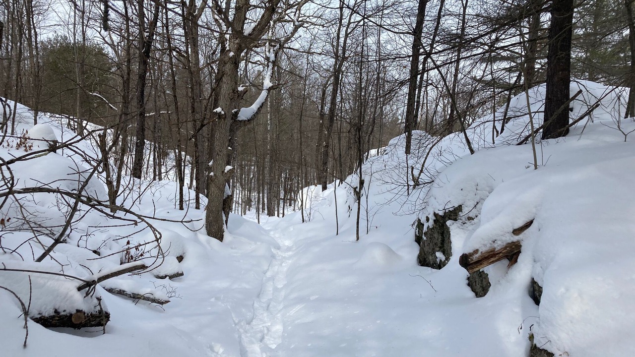 Photo of Others in Central Frontenac