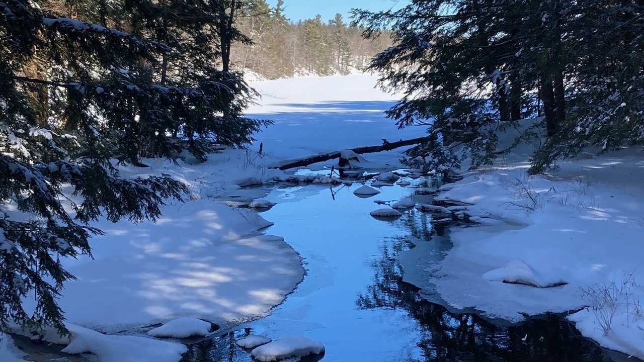 Photo of Others in Central Frontenac