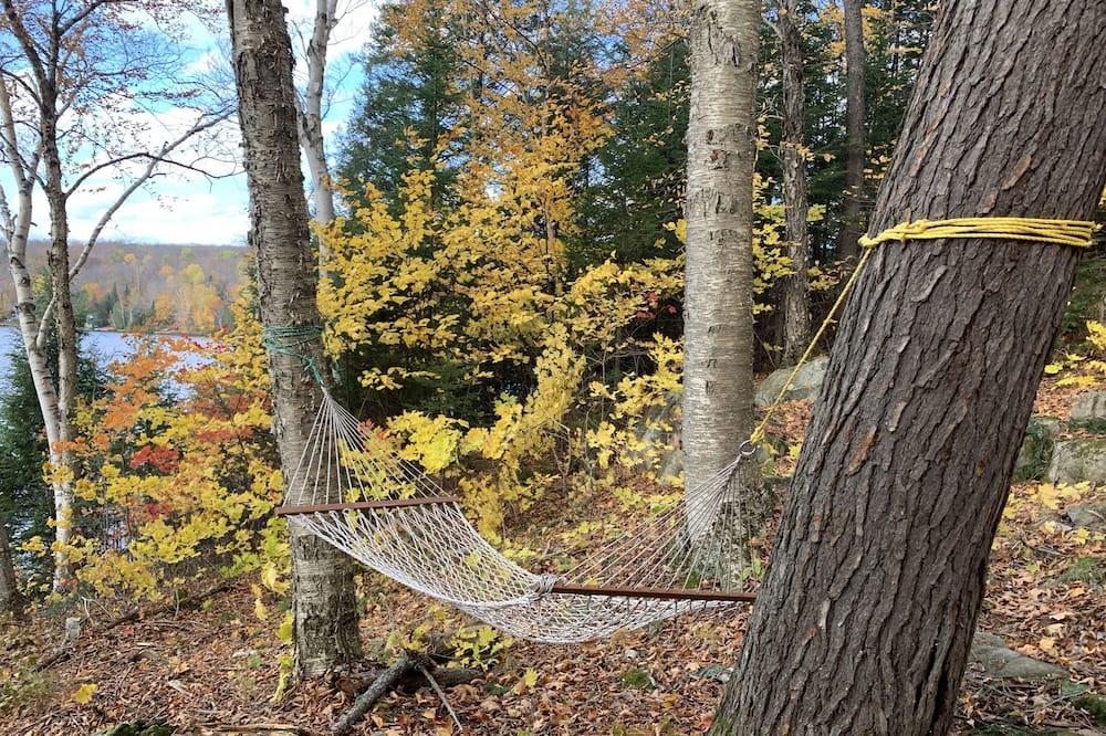 Photo of Outdoor in Perry