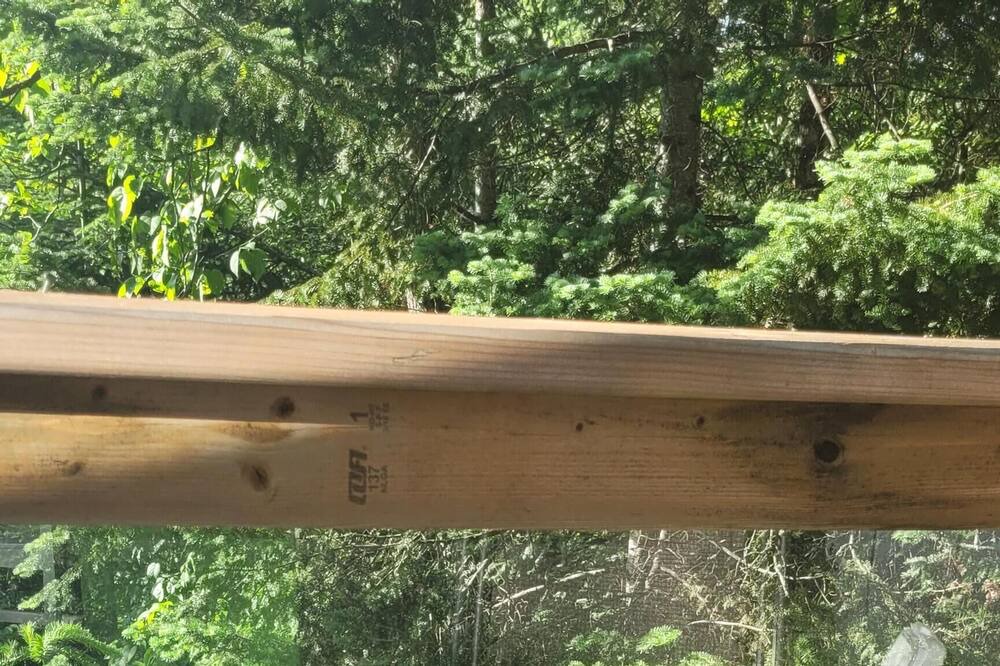 Photo of Others in Eagle Lake