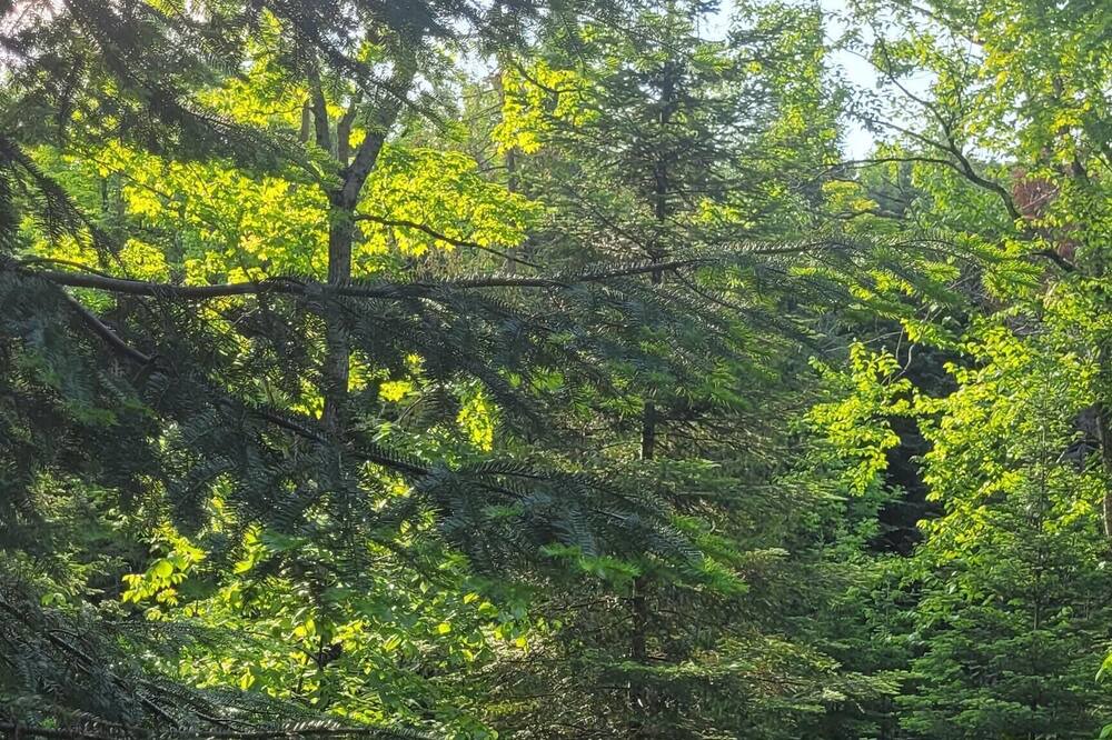 Photo of Others in Eagle Lake