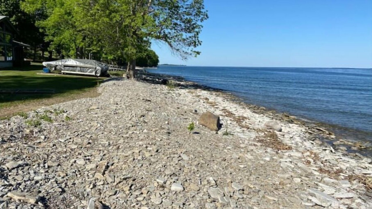 Photo of Others in Milford