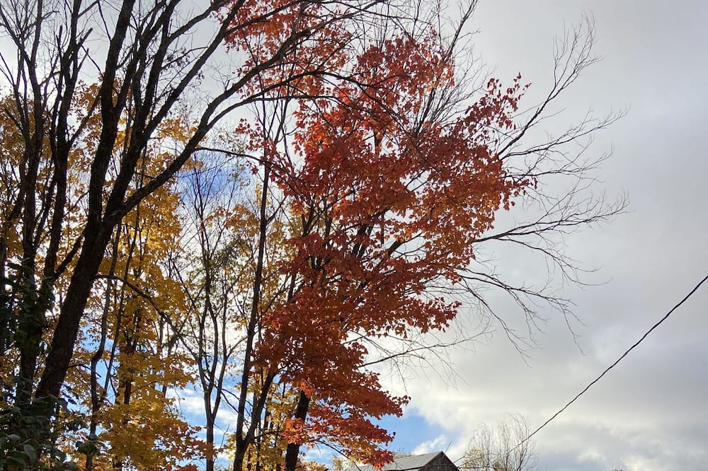 Photo of Outdoor in Perry