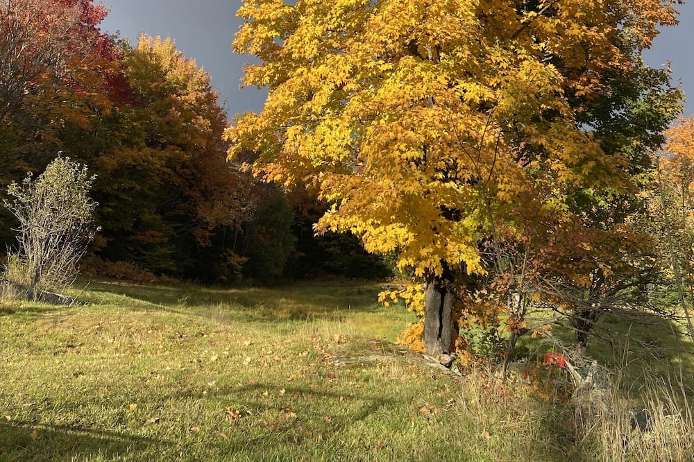 Photo of Outdoor in Perry