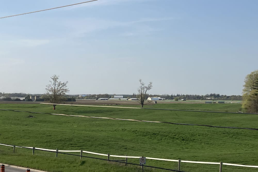 Photo of Others in Guelph