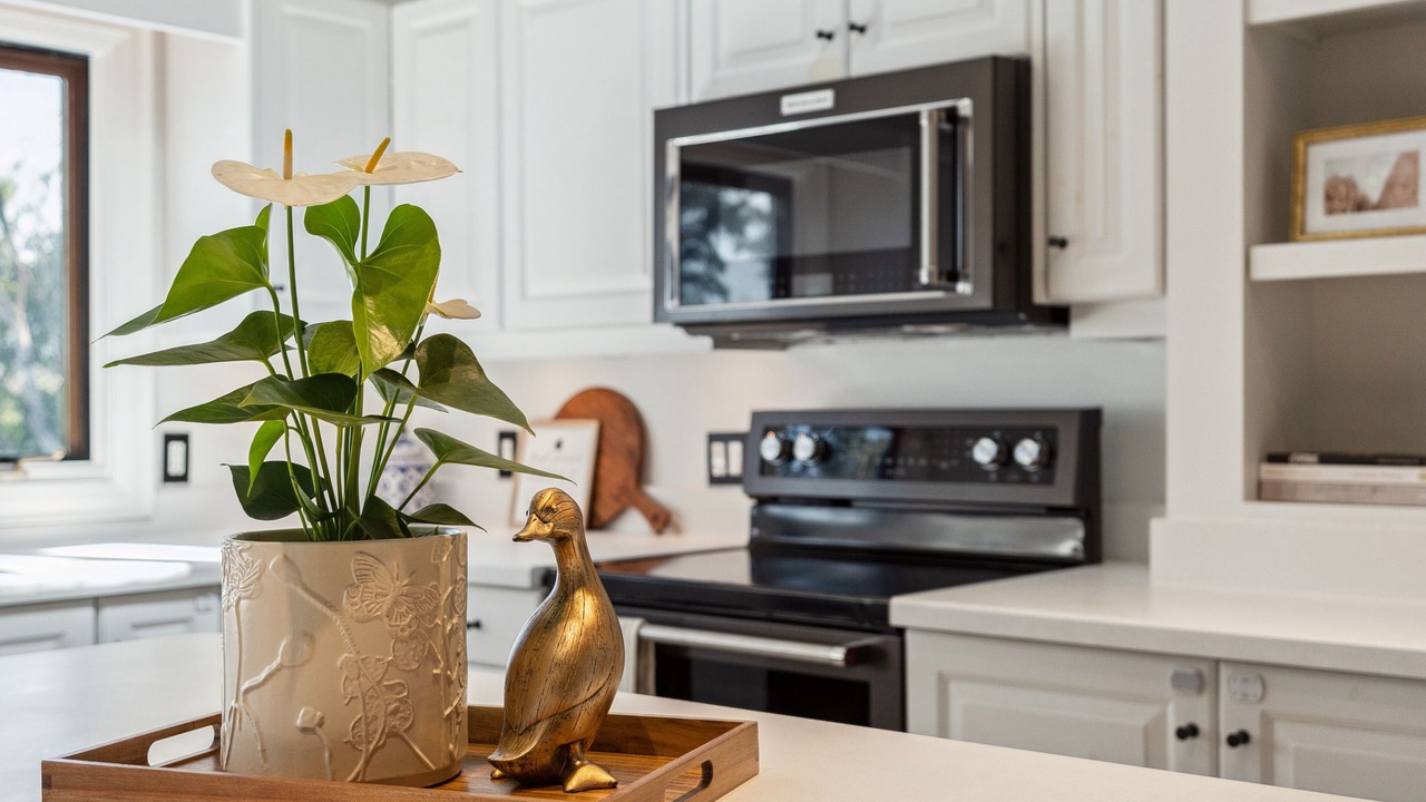 Photo of Kitchen in Lake of Bays
