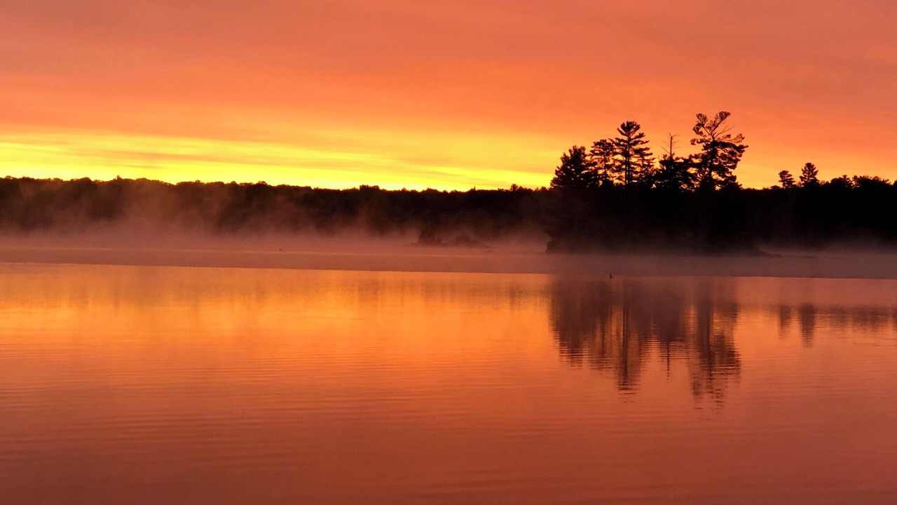 Photo of Others in Bracebridge