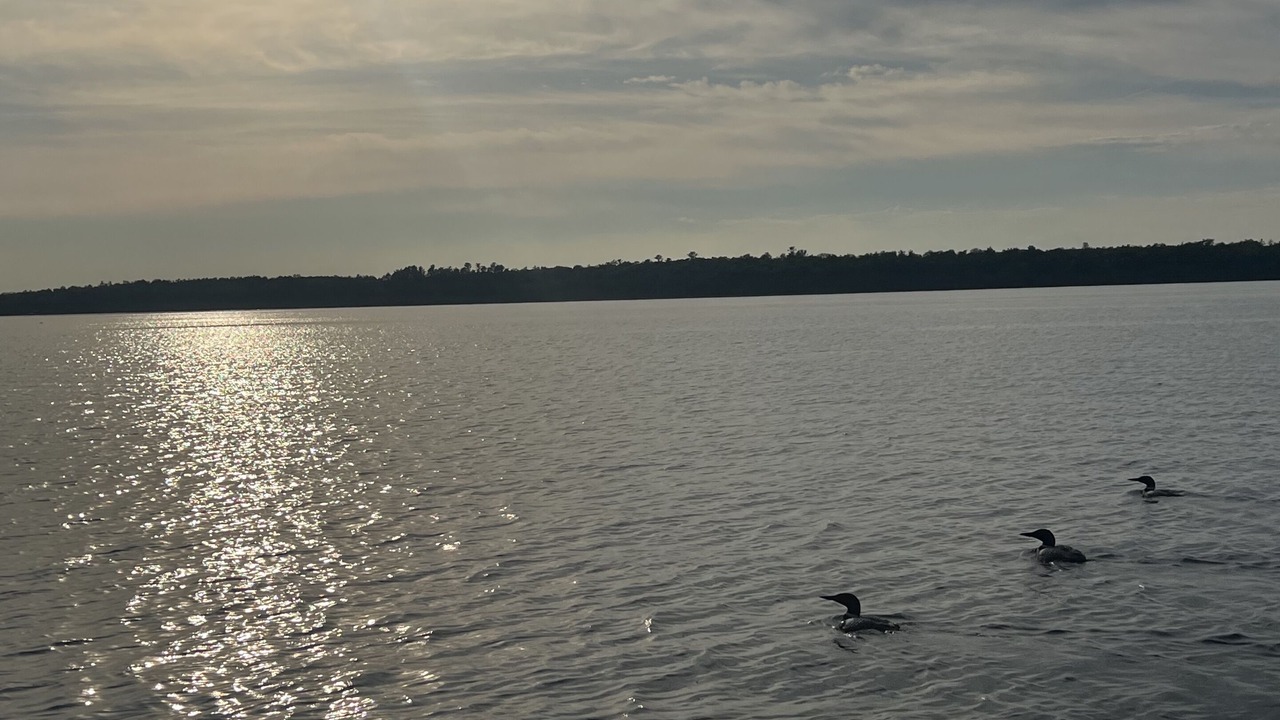 Photo of Outdoor in Sturgeon Lake