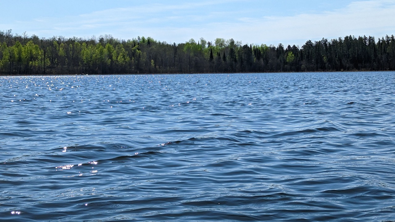 Photo of Others in Bemidji
