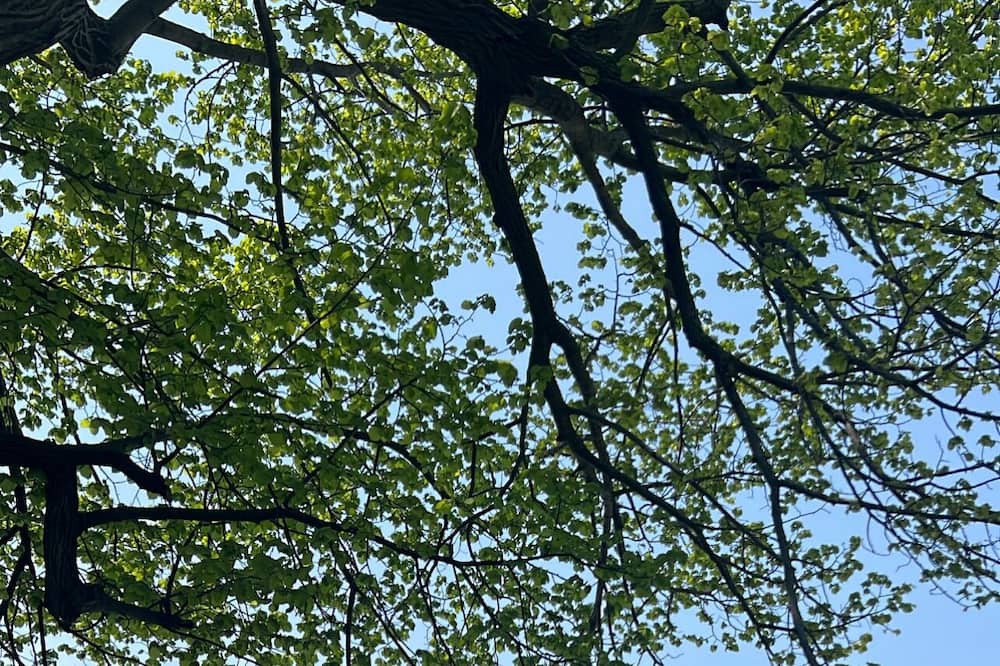 Photo of Others in Virginia