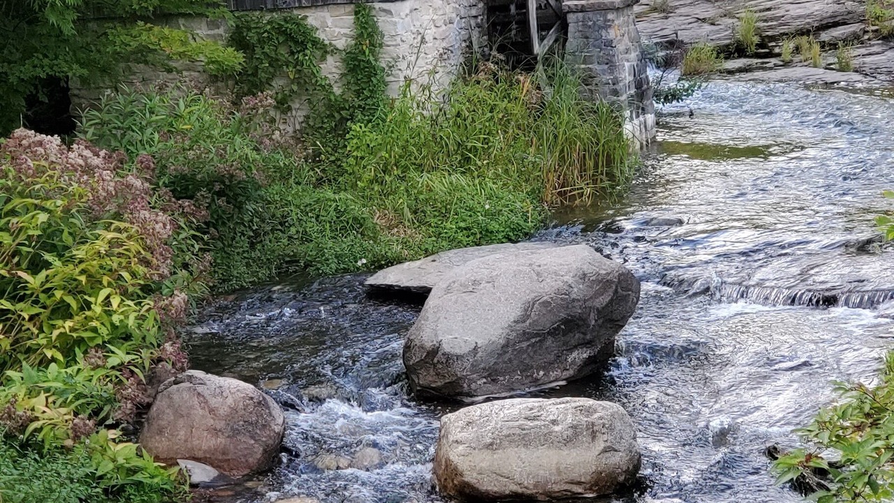 Photo of Outdoor in Manitoulin District