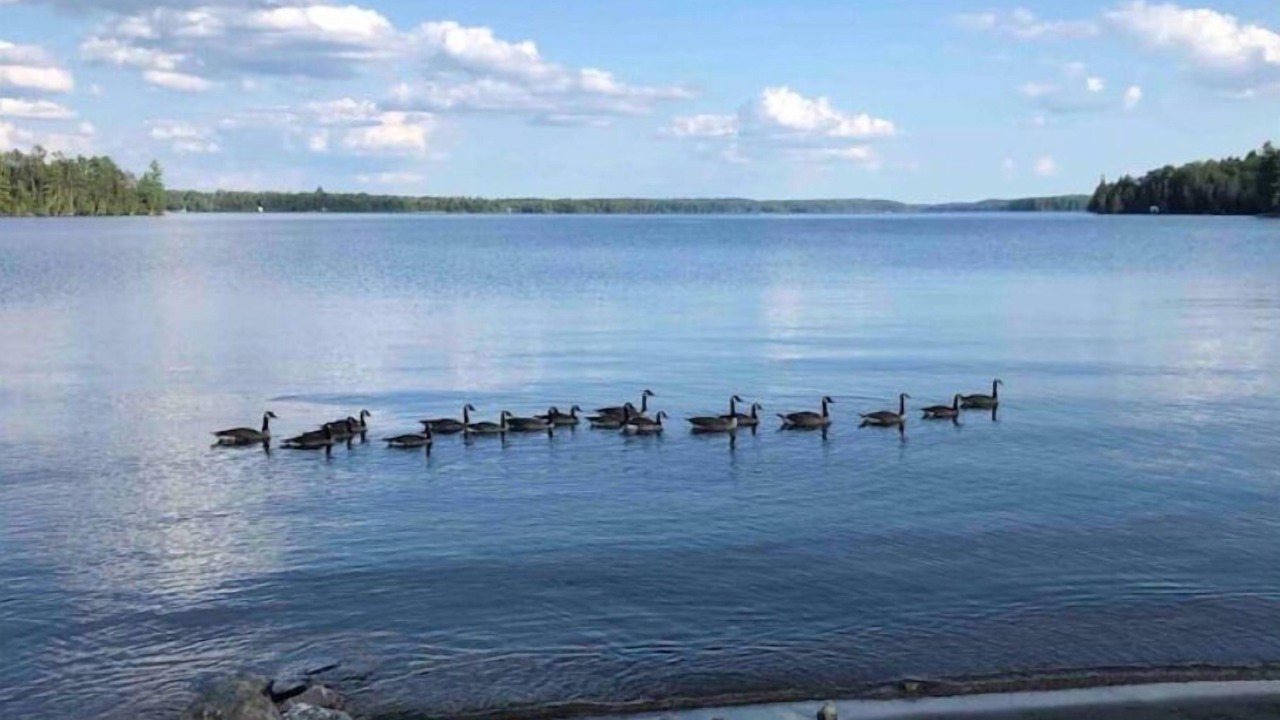 Photo of Outdoor in North Kawartha
