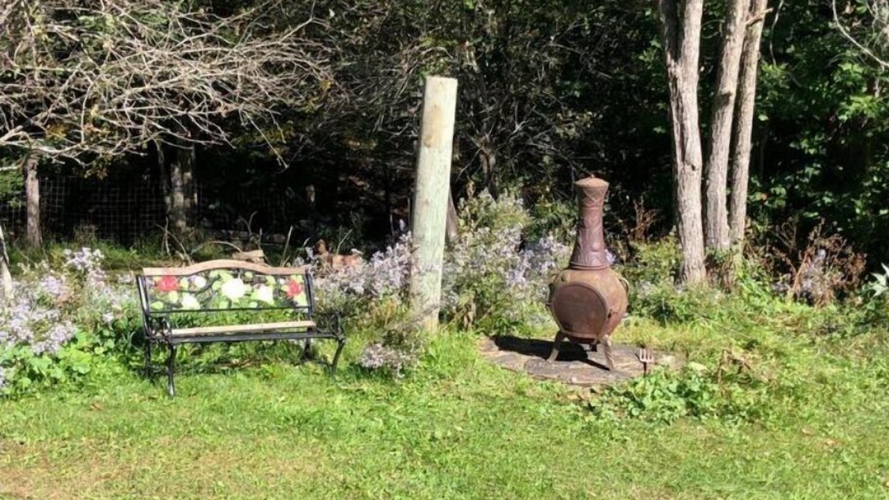 Photo of Outdoor in North Kawartha