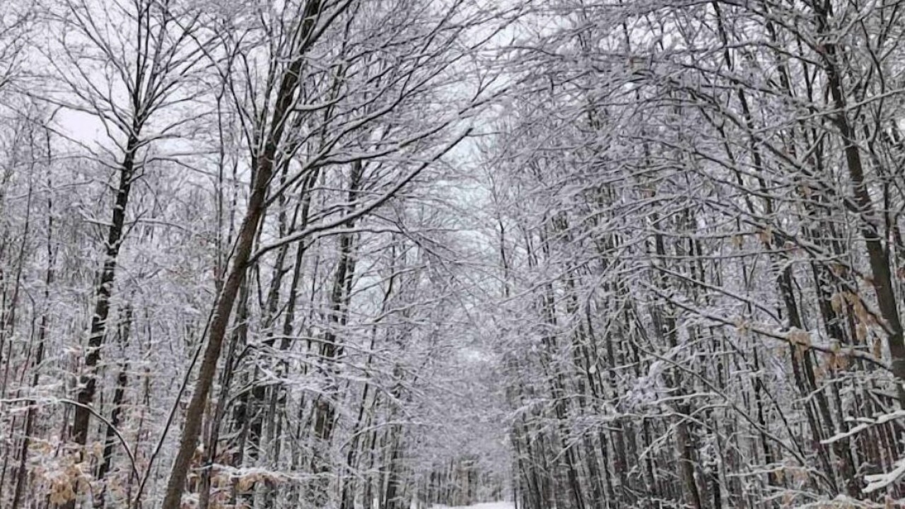 Photo of Outdoor in North Kawartha