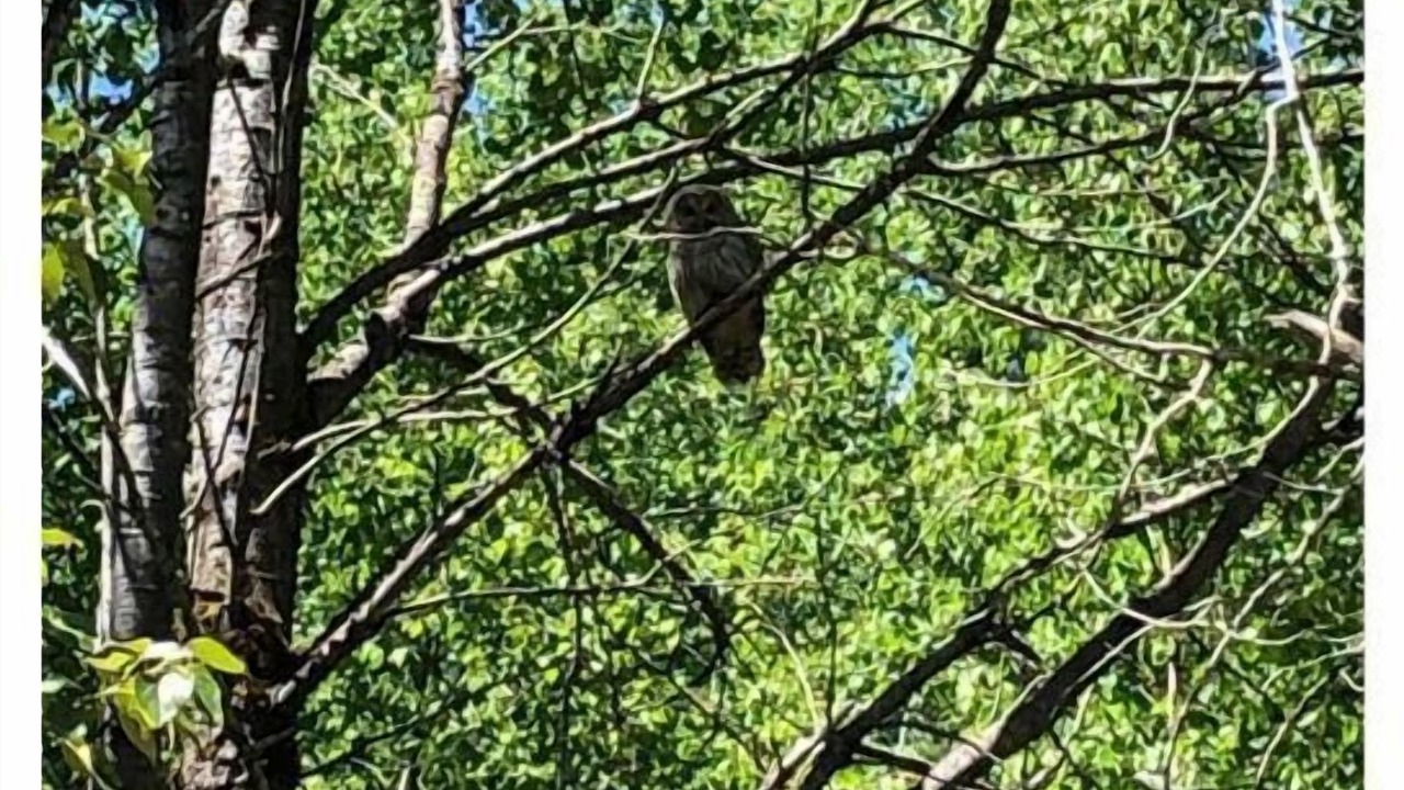 Photo of Others in North Kawartha
