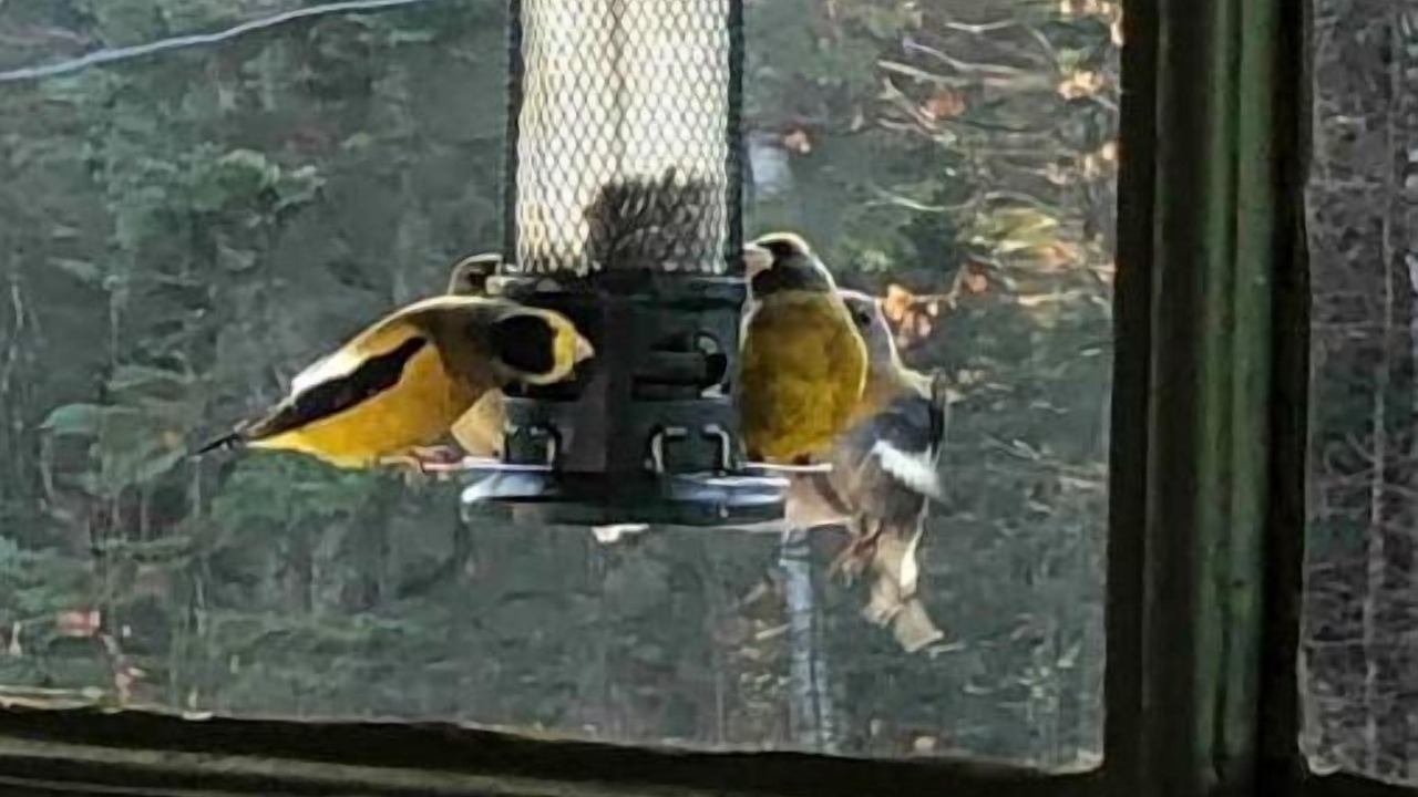 Photo of Others in North Kawartha