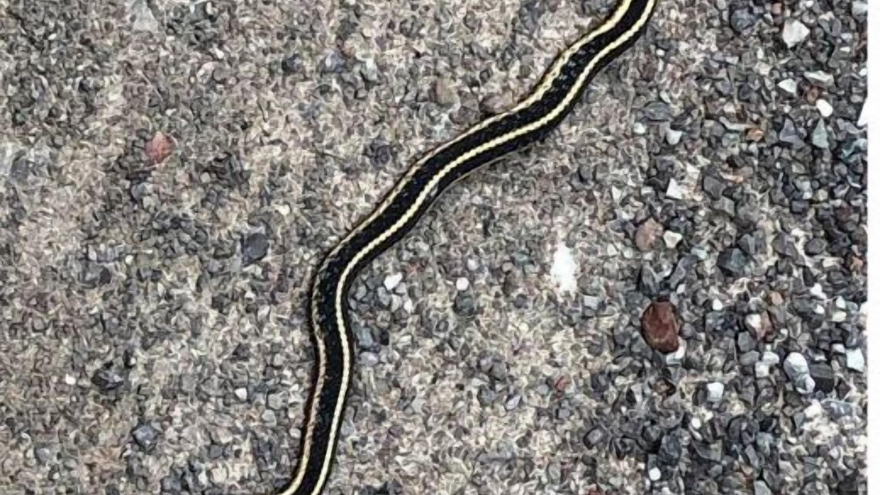 Photo of Others in North Kawartha