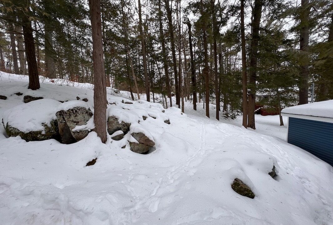 Photo of Others in Trent Lakes