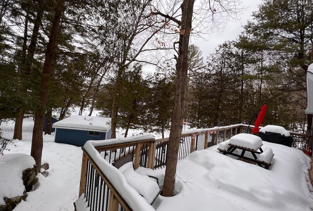 Photo of Outdoor in Trent Lakes