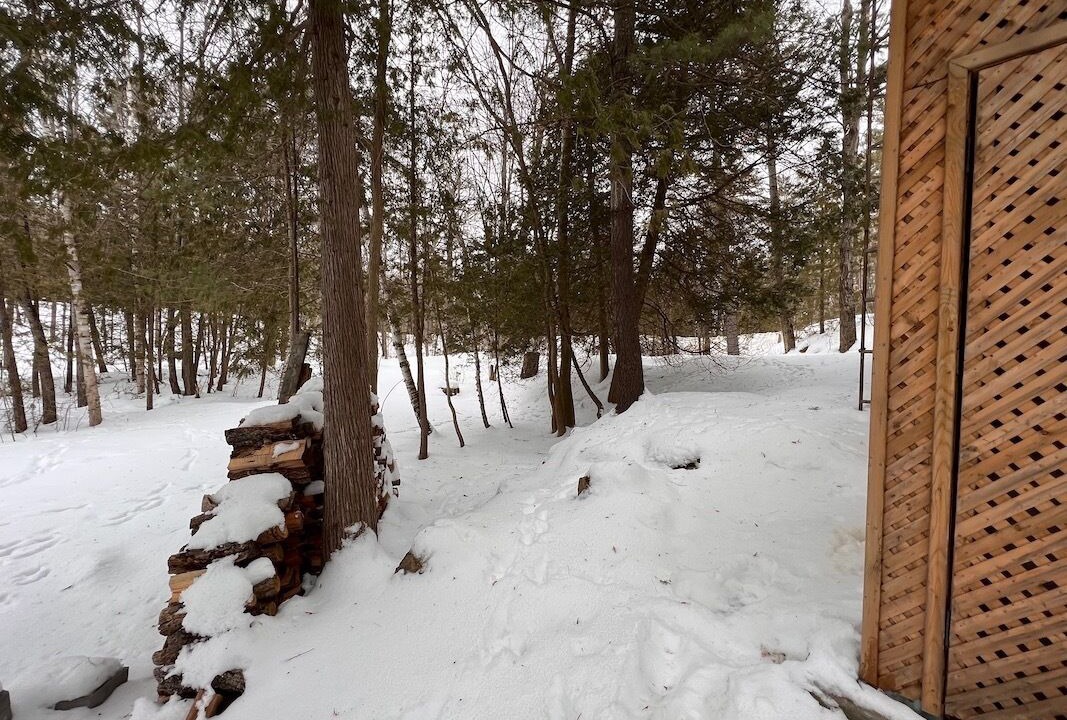 Photo of Outdoor in Trent Lakes